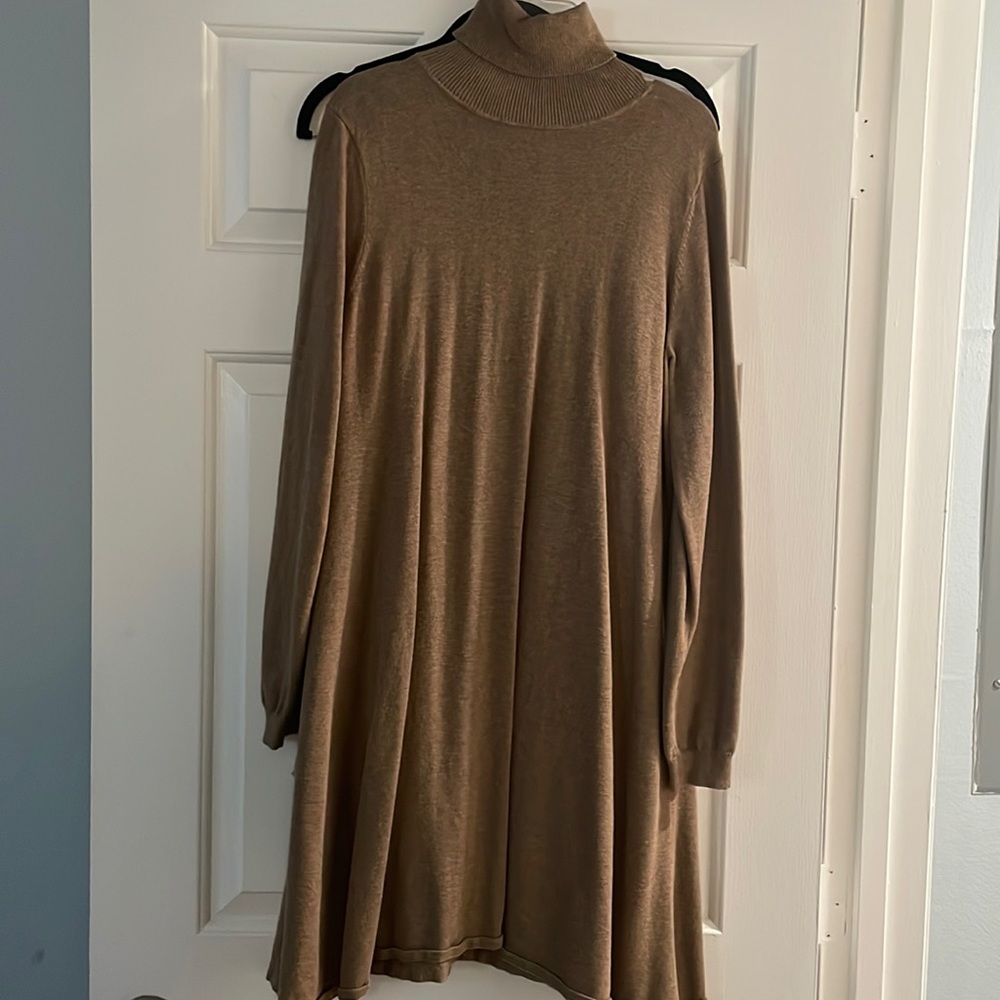 Turtle Neck Sweater Dress